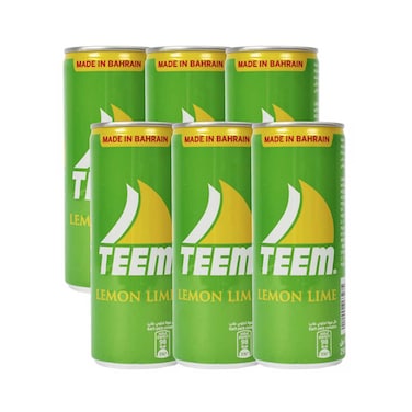Teem Carbonated Drinks Assorted 250mlx6 Pieces