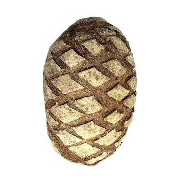 Sourdough Dark Wholemeal Bread