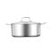 Royalblue Triply Stainless Steel CaStainless Steelerole 20Cm