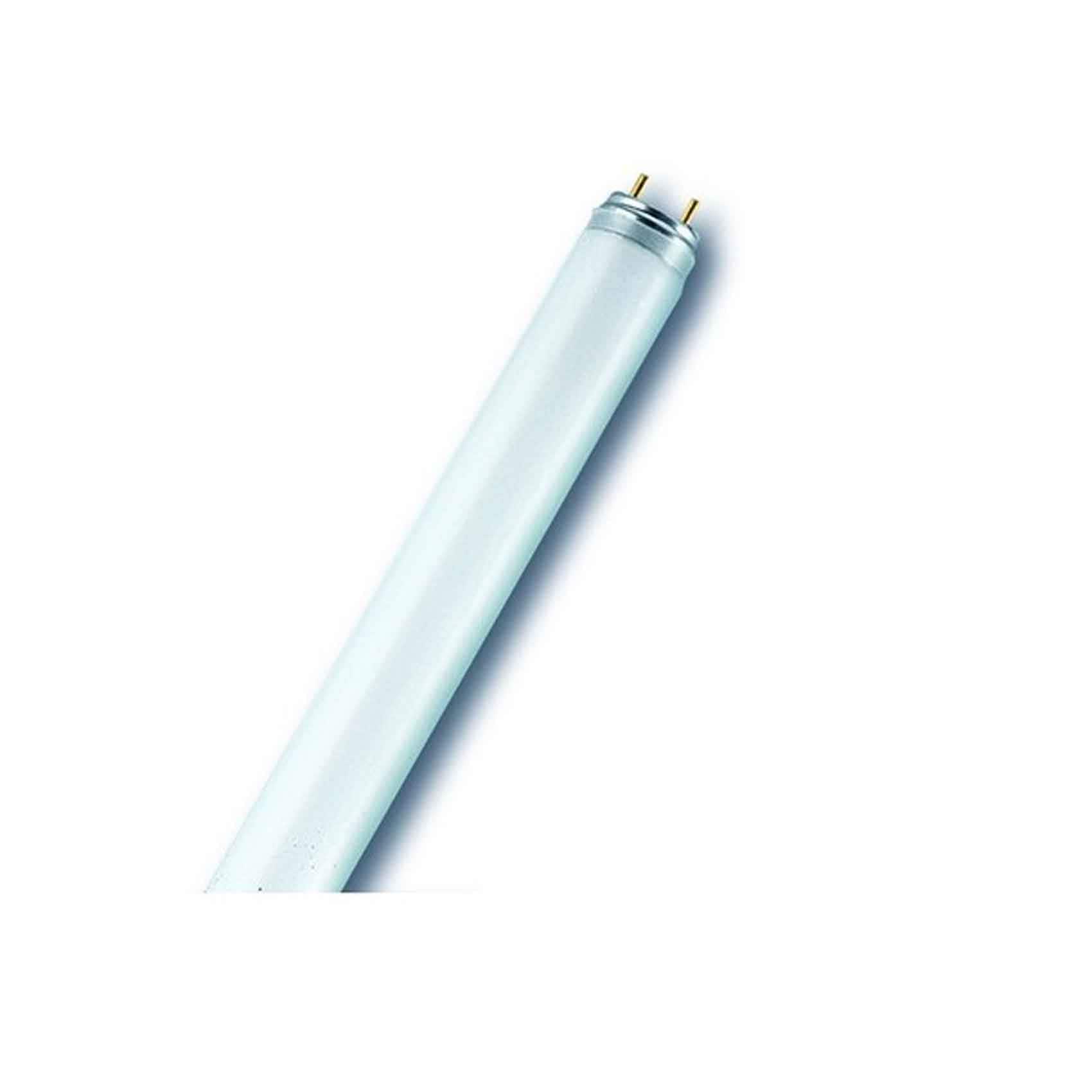 Osram Fluorescent Tube -36W