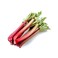 Rhubarb Vegetable