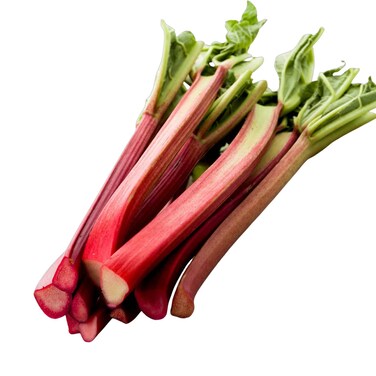 Rhubarb Vegetable
