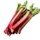 Rhubarb Vegetable