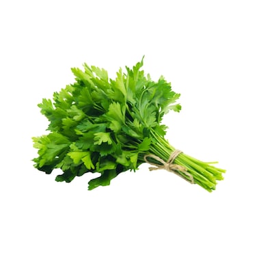 Agrico Organic Parsley