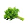 Agrico Organic Parsley