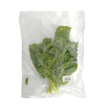 السلق السويسري الزراعي