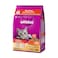 Whiskas Skin &amp; Coat Chicken &amp; Salmon Flavour Dry Cat Food For Adult 1+ Years 1.1kg