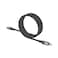 Platinum Elfin Magnetic Cable C-C Black