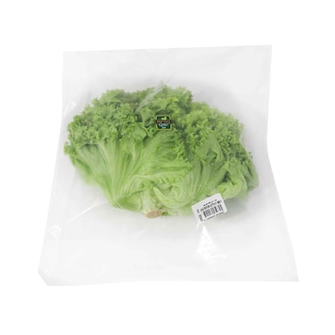 Agrico Lettuce Lollo Bionda