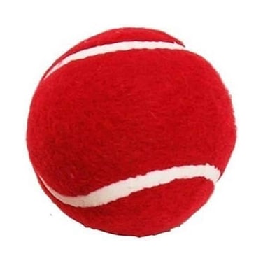 Karson Cricket Ball