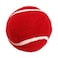Karson Cricket Ball