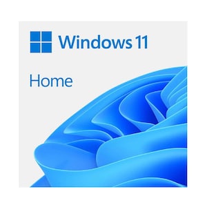 Microsoft Windows 11 Home QAT