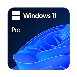 Microsoft Windows 11 Pro QAT