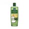 Parachute Advansed Cactus Enriched Coconut Hair Oil 300ml