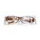 Reading Glass With PVC Glasses Assorted