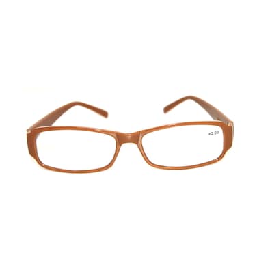 Reading Glass With PVC Glasses Assorted