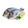 Fresh Fish Sea Bream Oman