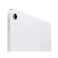 Apple iPad 11 Inc Tablet Wi-Fi 256GB Silver