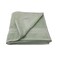 Royal Terry Bath Towel 70x140cm Pastel Green