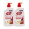 Lifebuoy Antibacterial Handwash Total 10 With Multivitamins 450mlx2 Pieces