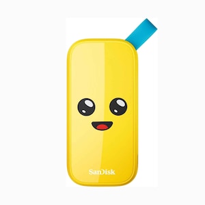 SanDisk Portable SSD Fortnite SDSSDE30 2TB