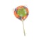 Fresca Character Sugar Lollipop Large 80g