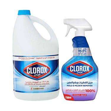 Clorox Bleach 3.78l + Mild &amp; Mildew Remover 750ml