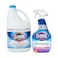 Clorox Bleach 3.78l + Mild &amp; Mildew Remover 750ml