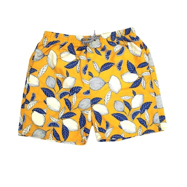 Men's Swimming Short Assorted