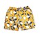 Men's Swimming Short Assorted
