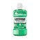 Listerene Mouthwash Total Care Gum Protect Fresh Mint 500ml