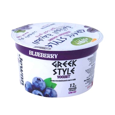 جيوان زبادي يوناني بنكهة التوت الأزرق ١٧٠ غرام