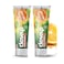 Closeup Cool Fresh Toothpaste Citrus Mint 75ml x 2 Pieces