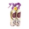Clara Multi Purpose Freshener Lavender 500mlx2 Pieces