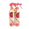 Clara Multi Purpose Freshener Crystl Rose 500mlx2 Pieces