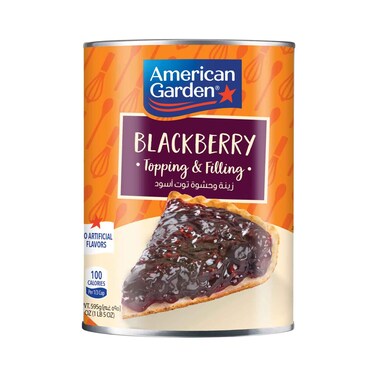 American Topping &amp; Fillings Blackberry 595g