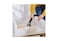 Bissell Vacuum Cleaner Hydrosteam 3672E