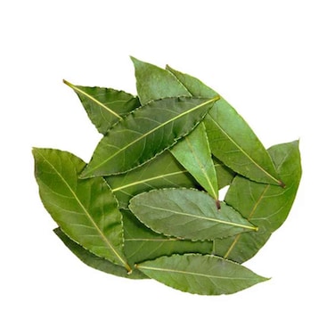 Lebanese Fresh Bay Leaf