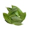 Lebanese Fresh Bay Leaf