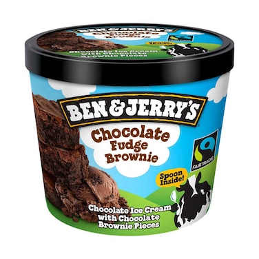Ben &amp; Jerry's Chocolate Fudge Brownie Ice Cream 100ml