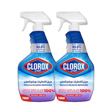 Clorox Liquid Spray Mold &amp; Mildew Remover With Bleach 750mlx2 Pieces