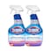 Clorox Liquid Spray Mold &amp; Mildew Remover With Bleach 750mlx2 Pieces