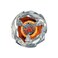 Hasbro Beyblade X Talon Ptera 3-80B