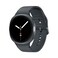 Samsung Galaxy Watch 8 SML330NDAAMEA 44mm Bluetooth Graphite