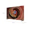 TCL Smart TV Premium QD-MiniLED 4K UHD 98 Inches 98C8K
