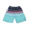 Mens Beach Shorts Assorted