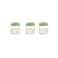 Herevin Decorated Glass Jar Set Assorted 425mlx3 Pieces
