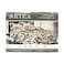 Artex Single Fitted Bedsheet 90x190+25cm With Pillow Cover Assorted 50x75+15cm