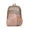 American Tourister Aleo Backpack Beige Colour