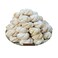 Moroccan Sweets Melawza 100g